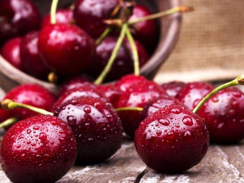 Вишня купить саженцы из питомника в Кумертау